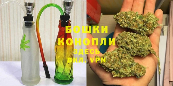 ПСИЛОЦИБИНОВЫЕ ГРИБЫ Алзамай