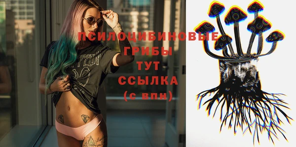 ПСИЛОЦИБИНОВЫЕ ГРИБЫ Алзамай